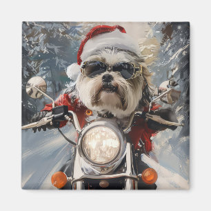 Aimant Malti Tzu Chien équitation Moto Noël