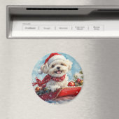 Aimant Malti Tzu Dog dans la corniche Laissez-le neiger N (In Situ (Lave-vaisselle))