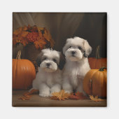Aimant Malti tzu Puppy Citrouille d'automne (Devant)