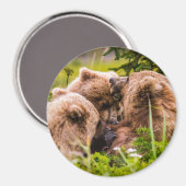 Aimant Mama bear nourrit ses deux petits, Lake Clark Nati (Recto/Verso)