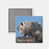 Aimant Mama Possum Babies Pro-Life humoristique (Recto/Verso)