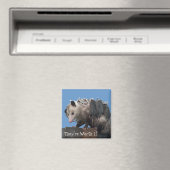 Aimant Mama Possum Babies Pro-Life humoristique (In Situ (Lave-vaisselle))