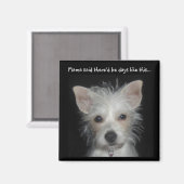 Aimant Maman a dit qu'il y aurait des jours comme cet aim (Recto/Verso)