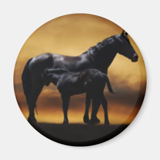 Aimant Maman et colt bébé (Devant)