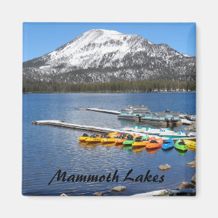 Aimant Mammoth