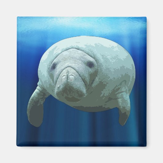 Aimant Manatee (Devant)
