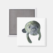 Aimant Manatee Springs (Recto/Verso)