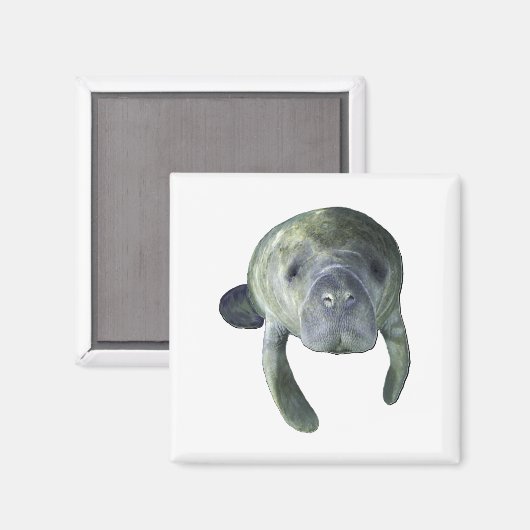 Aimant Manatee Springs (Recto/Verso)