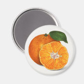 Aimant Mandarine (Recto/Verso)