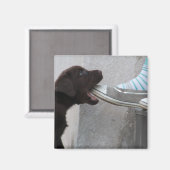 Aimant Mange Ma Chaussure ! Labrador Puppy (Recto/Verso)