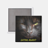 Aimant Manger de nouveau ? Fridgerator Diet Cat Meme (Recto/Verso)