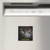 Aimant Manger de nouveau ? Fridgerator Diet Cat Meme (In Situ (Lave-vaisselle))