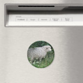 Aimant Manger des moutons gourmands (In Situ (Lave-vaisselle))