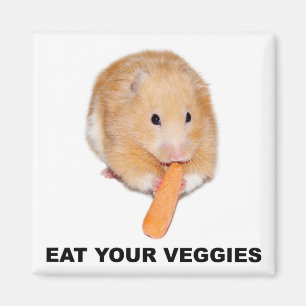 Aimant Mangez de votre légume