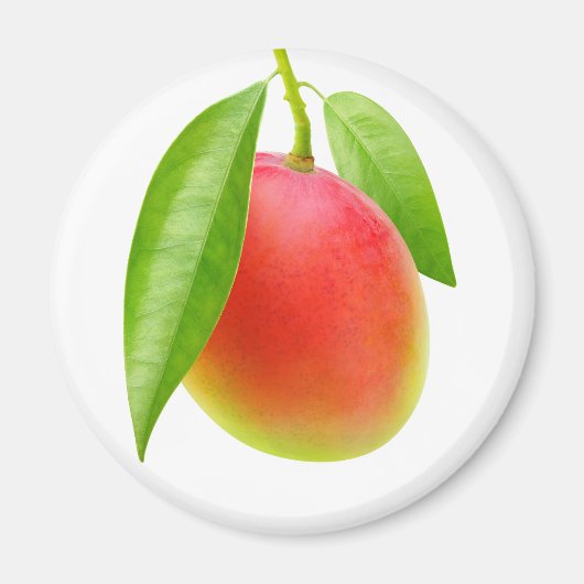 Aimant Mango (Devant)