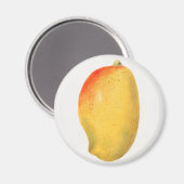 Aimant Mango (Recto/Verso)