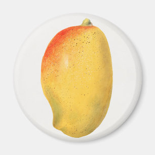Aimant Mango