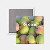 Aimant Mangos (Recto/Verso)