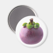 Aimant Mangosteen (Recto/Verso)