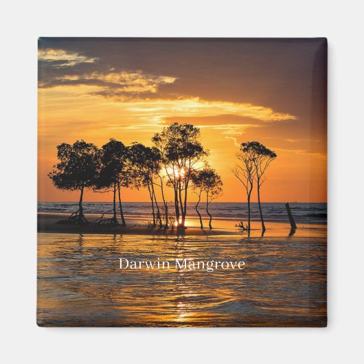 Aimant Mangrove de Darwin, Australie, (Devant)