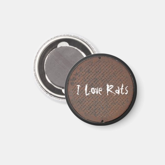 Aimant Manhole Cover Series (Recto/Verso)