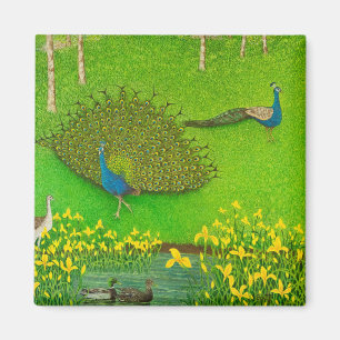 Aimant Manières de gain 2012