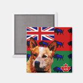 Aimant Manitoba Australian Cattle Dog (Recto/Verso)