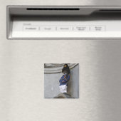 Aimant Manneken Pis (In Situ (Lave-vaisselle))