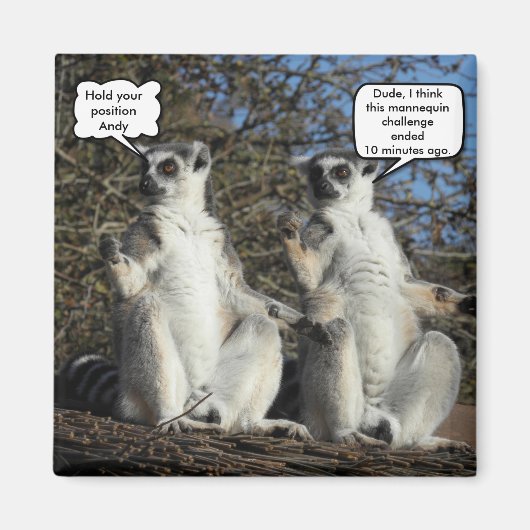 Aimant Mannequin Challenged Lemurs (Devant)