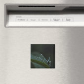 Aimant Mantis de prière pour bébé (In Situ (Lave-vaisselle))
