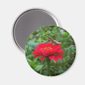 Aimant Mantis magnets/prières (Recto/Verso)