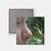 Aimant Mantis religiosa (Recto/Verso)