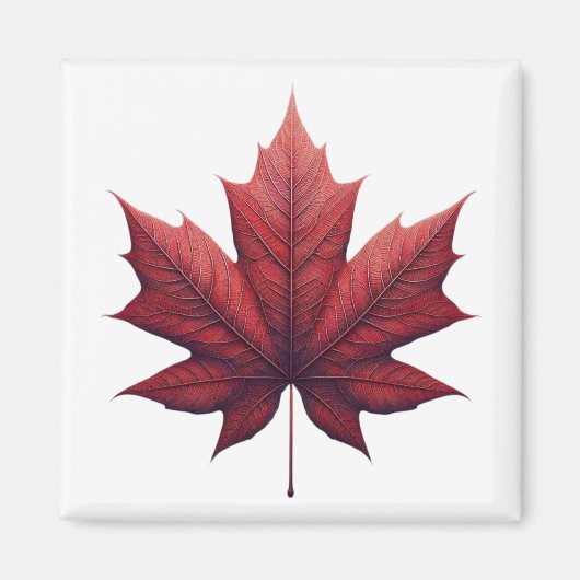 Aimant Mapel leaf (Devant)