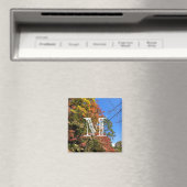 Aimant Maples colorées vives (In Situ (Lave-vaisselle))