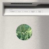 Aimant Marbre Alpi Vert (In Situ (Lave-vaisselle))