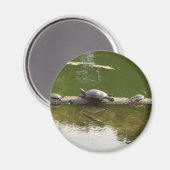 Aimant marchandise de reptile (Recto/Verso)