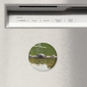 Aimant marchandise de reptile (In Situ (Lave-vaisselle))