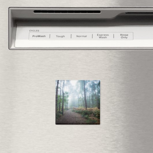 Aimant Marche de la forêt de Misty (In Situ (Lave-vaisselle))