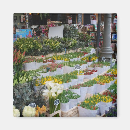 Aimant Marché Tulip d'Amsterdam (Devant)
