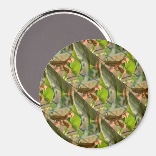 Aimant Marchin'On.... (Recto/Verso)