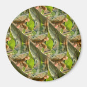 Aimant Marchin'On.... (Devant)