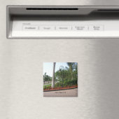 Aimant "Marco Island, FL" (In Situ (Lave-vaisselle))