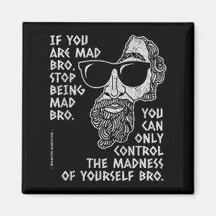 Aimant Marcus Aurelius Philosophe stoïque Ancien Roman Jo