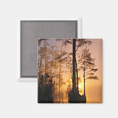 Aimant Marécage d'Okefenokee (Recto/Verso)