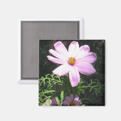 Aimant Marguerite rose (Recto/Verso)