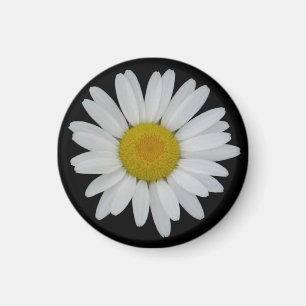Aimant Marguerite sur l'aimant noir