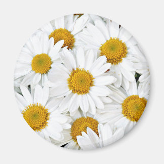 Aimant Marguerites