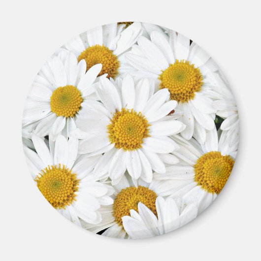 Aimant Marguerites (Devant)