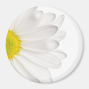 Aimant Marguerites customisées par arrière - plan de