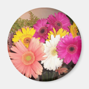 Aimant Marguerites de Gerbera
